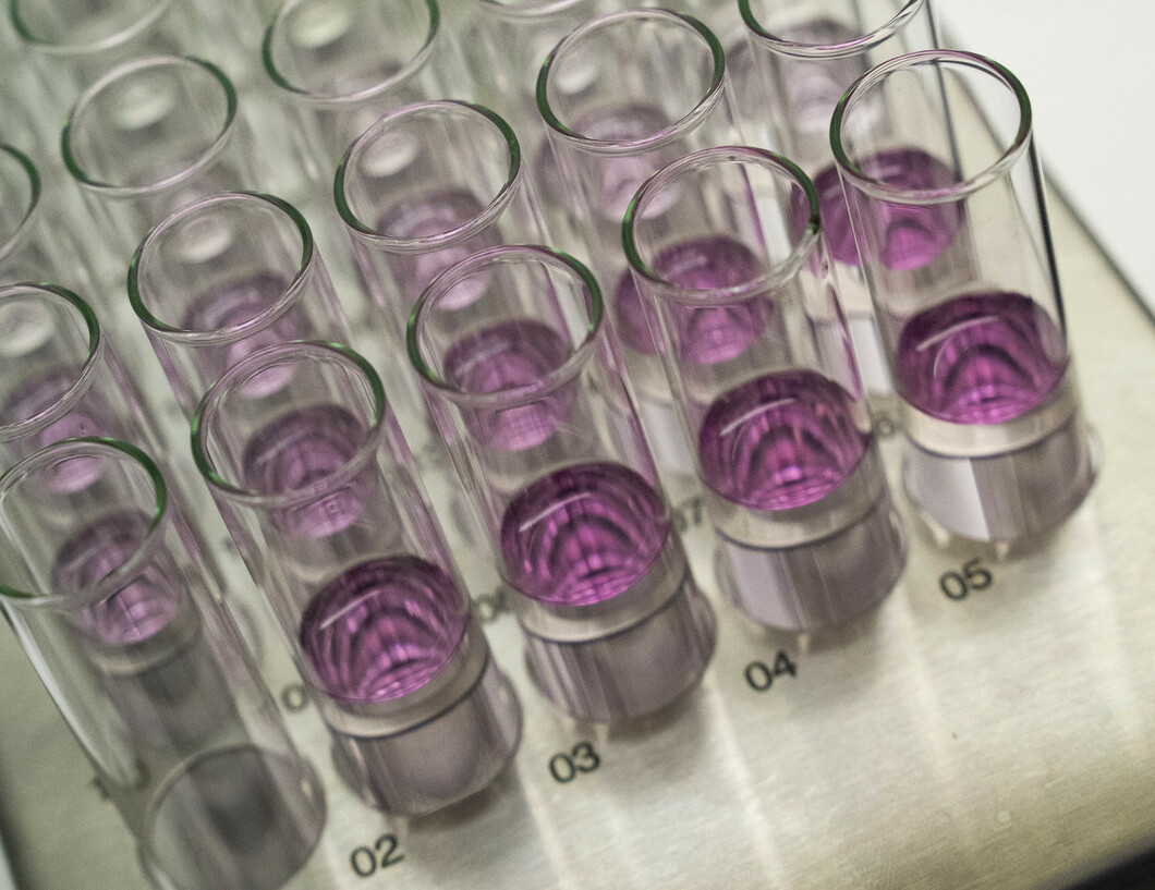 A picture of test tubes from the Solna lab
